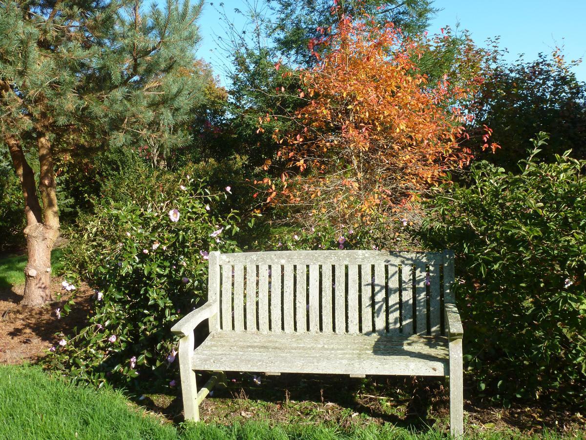 Bed and Breakfast Manoir De Savigny Valognes Exterior foto