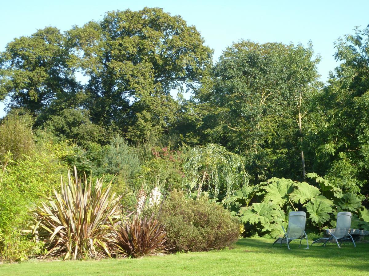 Bed and Breakfast Manoir De Savigny Valognes Exterior foto